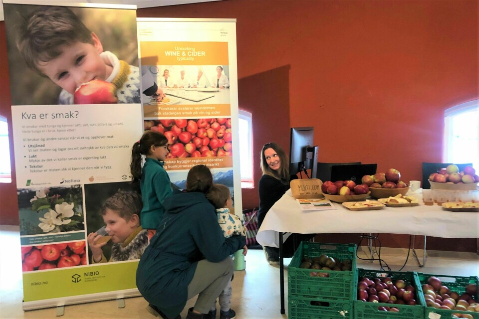 Also at the ‘research-day’ in Odda, Hardanger, children and other visitors were asked to taste and describe apples and apple juice. Project manager Ingunn Øvsthus in the back, talking to visitors.