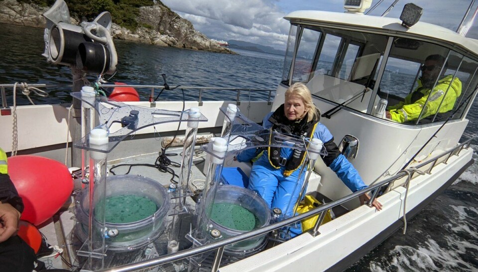 Researcher Anne Berit Skiftesvik with the two drifting chambers that were used in the experiments.