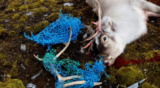 Det globale plastberget har nådd Arktis Det globale plastberget har nådd Arktis