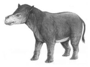 Pantodont (Illustrasjon: Naturhistorisk Museum) Pantodont (Illustrasjon: Naturhistorisk Museum)