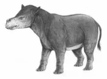 Pantodont (Illustrasjon: Naturhistorisk Museum)