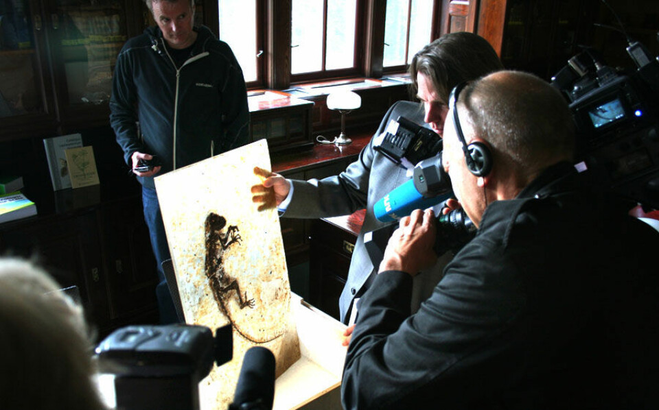 Journalistene flokker seg rundt paleontolog Jørn Hurum i det Ida-fossilet ankommer Naturhistorisk Museum i Oslo i mai 2009.
