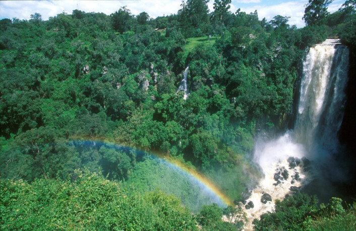 "Regnskogen i Amazonas er over femten ganger så stor som Norge og over en femtedel av verdens dyre- og plantearter befinner seg her. (Illustrasjonsfoto: www.colourbox.no)" "Regnskogen i Amazonas er over femten ganger så stor som Norge og over en femtedel av verdens dyre- og plantearter befinner seg her. (Illustrasjonsfoto: www.colourbox.no)"