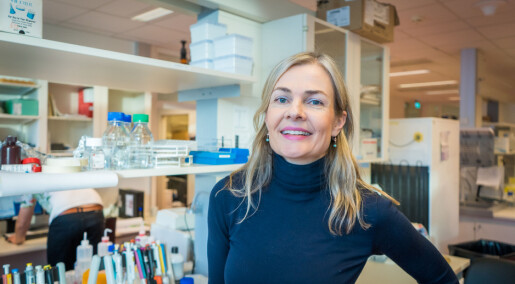 Utsultede kreftceller ser annerledes ut på utsiden. Det kan gjøre immunterapi mer effektivt. Utsultede kreftceller ser annerledes ut på utsiden. Det kan gjøre immunterapi mer effektivt.