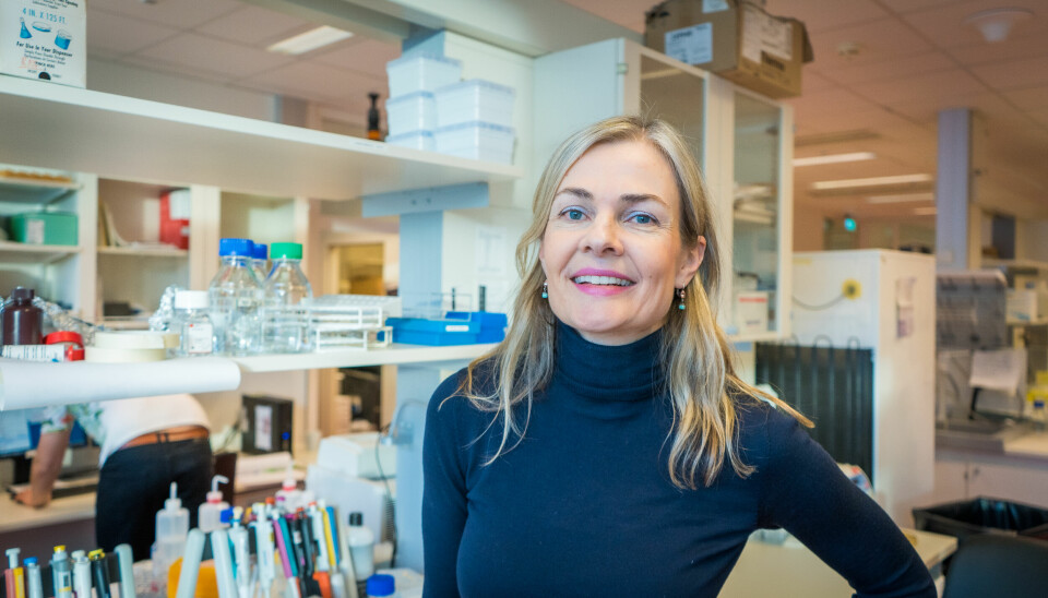 Norske og nederlandske forskere har funnet et svakt punkt hos føflekkreftceller. En av forskerne er Johanna Olweus ved Oslo universitetssykehus.