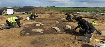 «Usynlig» vikingrytter funnet av danske arkeologer