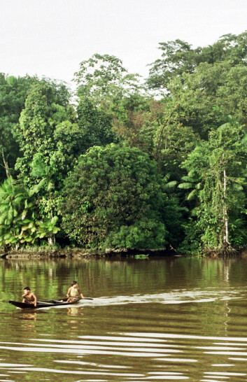 "(Også flere millioner mennesker bor i den enorme Amazonas-regnskogen, som strekker seg over ni land. Foto: Fransisco Chaves)" "(Også flere millioner mennesker bor i den enorme Amazonas-regnskogen, som strekker seg over ni land. Foto: Fransisco Chaves)"