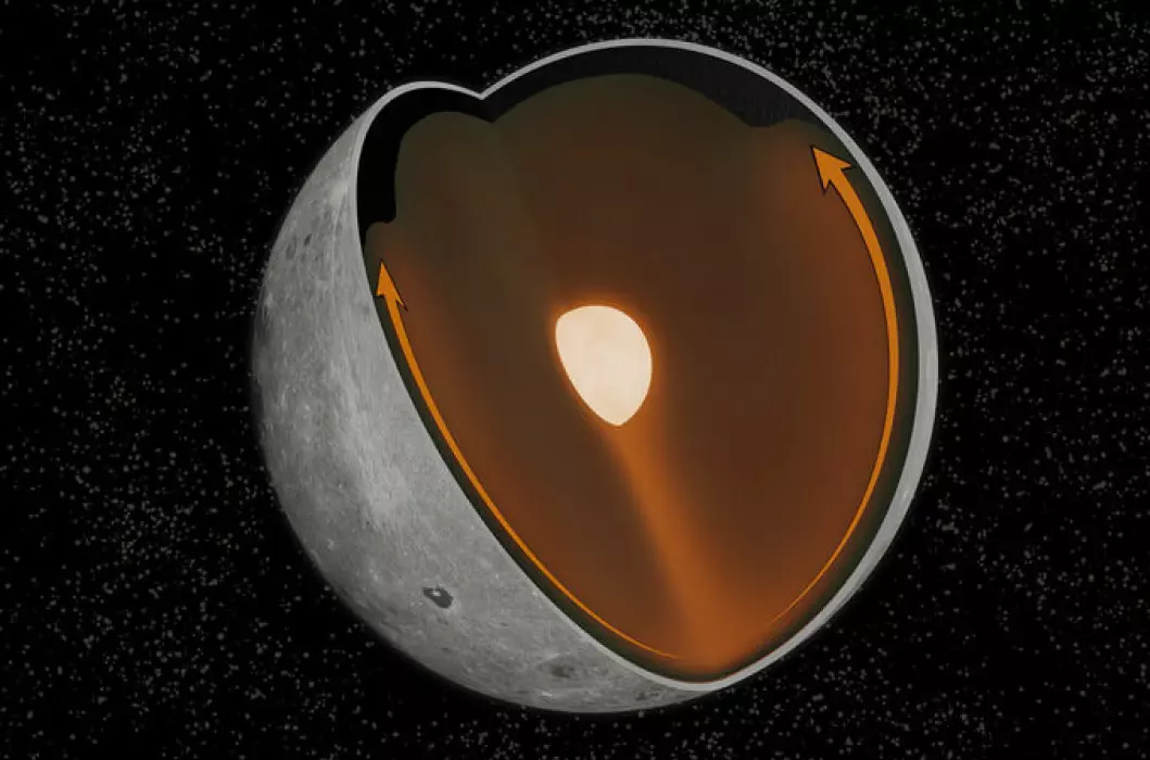 Et voldsomt treff (mot bunnen av månen på figuren) lagde en bølge inni månen, tror forskere. Pilene viser hvordan bølgen skylte med seg masse stoffer (det mørke laget under overflaten) til den andre siden av månen.