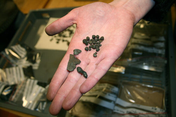 Noen smiperler fra esse. (Foto: Tove Eivindsen/ Vitenskapsmuseet NTNU) Noen smiperler fra esse. (Foto: Tove Eivindsen/ Vitenskapsmuseet NTNU)