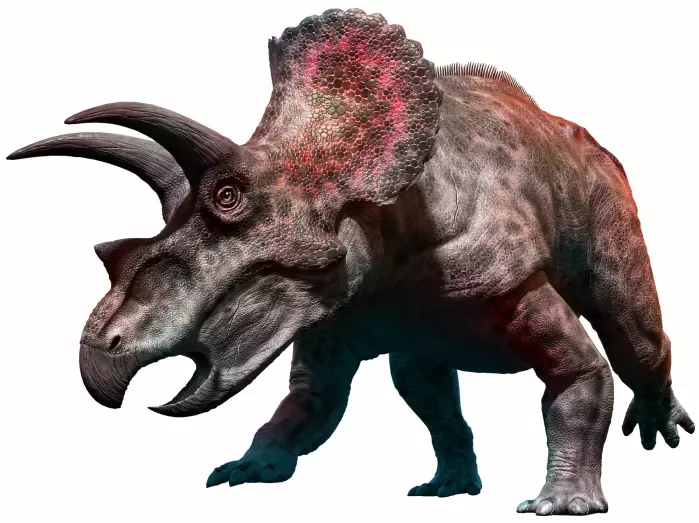 En annen illustrasjon av sånn vi trodde Triceratops så ut.