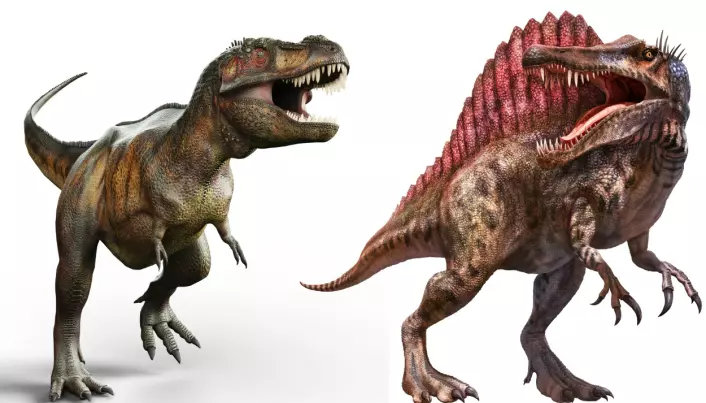 Tyrannosaurus Rex til venstre med de små armene. Spinosaurus til høyre med det store seilet på ryggen.