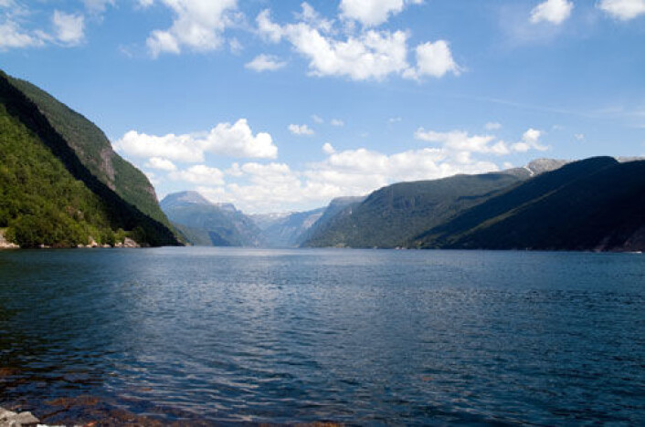 - Hardangerfjorden har blitt et ikon, mener oppdrettere. (Foto: Colourbox.no) - Hardangerfjorden har blitt et ikon, mener oppdrettere. (Foto: Colourbox.no)