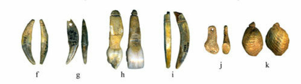 Smykker laget av neandertalere eller moderne mennesker? Funnene fra Grotte du Renne i Burgund, Frankrike, av smykker laget av dyreknokler, hoggtenner og skjell kan ha ført arkeologer til å feilbedømme neandertalerne. (Foto: M. Vanhaeren/CNRS Nanterre, France)