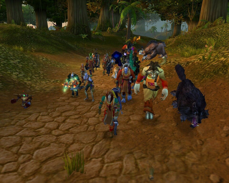 'Fra World of Warcraft. Figurene du ser styres av spillere. (Bilde: Blizzard Entertainment)'