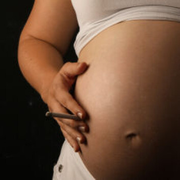 (Illustrasjonsfoto: iStockphoto) (Illustrasjonsfoto: iStockphoto)