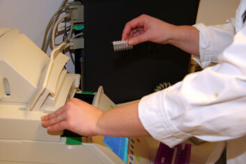 "Bakterienes gener ble undersøkt ved PCR-analyser" "Bakterienes gener ble undersøkt ved PCR-analyser"