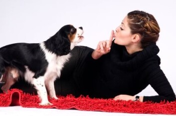 (Illustrasjonsfoto: iStockphoto) (Illustrasjonsfoto: iStockphoto)