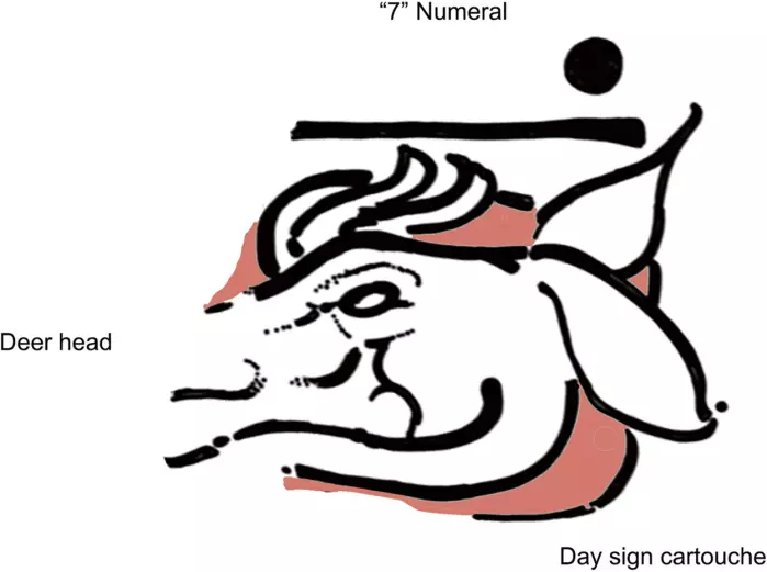 Illustrasjon av kalender-fragmentet. Streken og prikken øverst angir tallet syv, men prikken på venstre side manglet. Hjorten er et symbol i 260-dagers kalenderen.