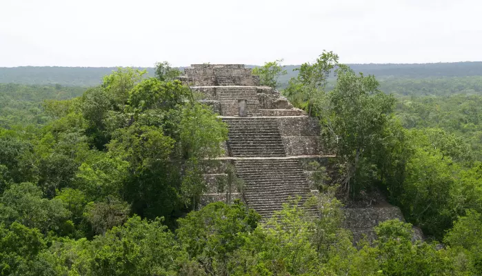 Maya-pyramide på det arkeologiske funnstedet Calakmul i Mexico.