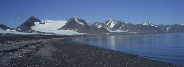 "Svalbard. Her fant den islandske biologen Olafur Ingolfsson isbjørnkjeven. (Foto: Olafur Ingolfsson)" "Svalbard. Her fant den islandske biologen Olafur Ingolfsson isbjørnkjeven. (Foto: Olafur Ingolfsson)"