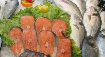 Fra årsskiftet skal all fisk i fiskedisken være merket med fangst eller slaktedato. (Foto: Frank Gregersen/Nofima) Fra årsskiftet skal all fisk i fiskedisken være merket med fangst eller slaktedato. (Foto: Frank Gregersen/Nofima)