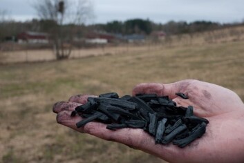Biokull av tre som er pyrolysert. (Foto: Ragnar Våga Pedersen) Biokull av tre som er pyrolysert. (Foto: Ragnar Våga Pedersen)