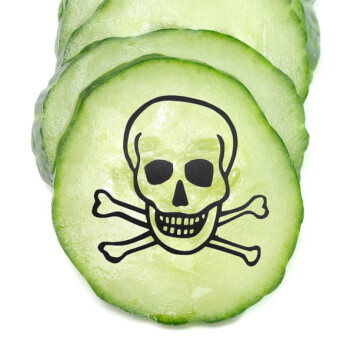Grønnsaker kan bli infisert med E. coli-bakterier hvis de kommer i kontakt med avføring fra dyr, for eksempel ved vanning eller gjødsel. Det er særlig drøvtyggere som kuer som kan bære de farlige bakteriene i tarmene. (Foto: Colourbox, redigert) Grønnsaker kan bli infisert med E. coli-bakterier hvis de kommer i kontakt med avføring fra dyr, for eksempel ved vanning eller gjødsel. Det er særlig drøvtyggere som kuer som kan bære de farlige bakteriene i tarmene. (Foto: Colourbox, redigert)