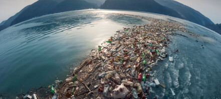 Scientists call for cap on production to end plastic pollution