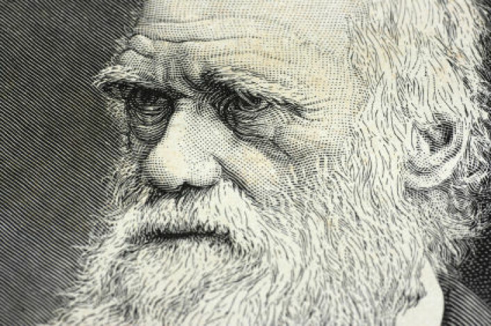 "Darwin brukte store deler av sitt liv på å bekymre seg over sin families helse, og han var fullt klar over at innavl ikke var bra. (Illustrasjon: iStockphoto)"