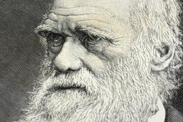 "Darwin brukte store deler av sitt liv på å bekymre seg over sin families helse, og han var fullt klar over at innavl ikke var bra. (Illustrasjon: iStockphoto)" "Darwin brukte store deler av sitt liv på å bekymre seg over sin families helse, og han var fullt klar over at innavl ikke var bra. (Illustrasjon: iStockphoto)"