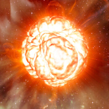 Slik kan Betelgeuse se ut på nært hold. Illustrasjonen er laget med den kunnskap vi nå har. De ytre lagene av den røde kjempestjernen strekker seg like langt ut som mellom planetene Mars og Jupiter i vårt solsystem. (Illustrasjon: European Southern Observatory, utsnitt, se lisens) Slik kan Betelgeuse se ut på nært hold. Illustrasjonen er laget med den kunnskap vi nå har. De ytre lagene av den røde kjempestjernen strekker seg like langt ut som mellom planetene Mars og Jupiter i vårt solsystem. (Illustrasjon: European Southern Observatory, utsnitt, se lisens)