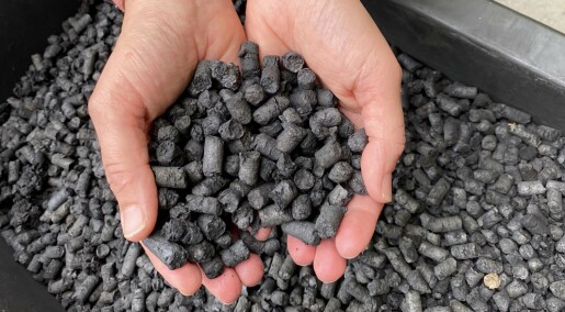 Matavfallet vårt kan bli til en ren svamp som renser bort mikroplast Matavfallet vårt kan bli til en ren svamp som renser bort mikroplast