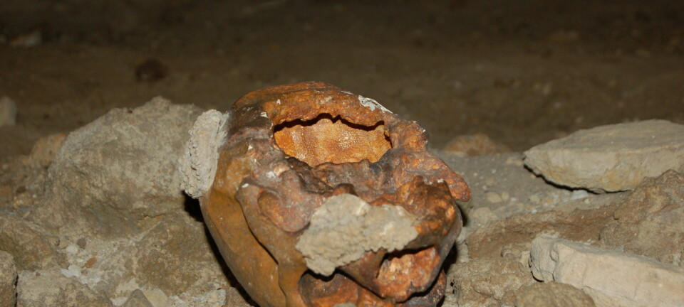 'Denne skallen funnet utenfor Roma ble i 1938 - feilaktig - tolket som restene av rituell kannibalisme, og satte igang spekulasjoner om neandertalernes åndsliv. Diskusjonen går fremdeles. Foto: Erik Tunstad'