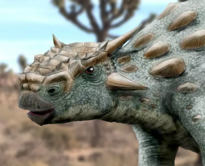 "Fossilet etter denne dinosauren, Minotaurasaurus ramachandrani, er opphavet til kontrovers i forskermiljøene (Illustrasjon: Arthur Weasley, Wikimedia Commons)"