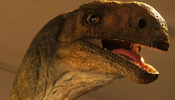 Norges eneste dinosaurfunn skjedde helt tilfeldig