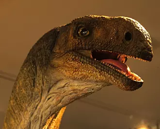 Norges eneste dinosaurfunn skjedde helt tilfeldig