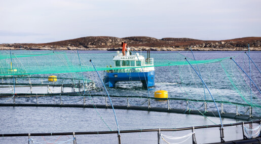 Lakselus og genetisk endring utgjør fortsatt den største miljørisikoen ved oppdrett Lakselus og genetisk endring utgjør fortsatt den største miljørisikoen ved oppdrett