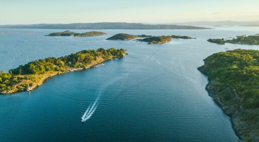 – Fisk i Oslofjorden ser ut som spøkelser. Noen har åpne sår, er bleike og fulle av parasitter – Fisk i Oslofjorden ser ut som spøkelser. Noen har åpne sår, er bleike og fulle av parasitter