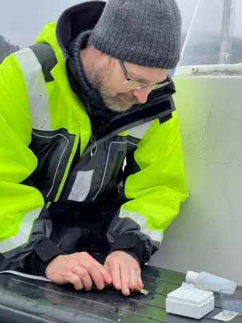 Thrond Haugen undersøker fisk i Oslofjorden.