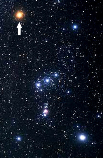 Betelgeuse utgjør venstre skulder i stjernebildet Orion, som er best synlig på vinterhimmelen. (Foto: Hubble/ESA/NASA) Betelgeuse utgjør venstre skulder i stjernebildet Orion, som er best synlig på vinterhimmelen. (Foto: Hubble/ESA/NASA)