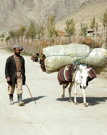 – Det er ikke lett å forklare en afghansk bonde hva Nato gjør og hvem vi er. Krigen har for mange ansikter, sier UiS-forsker og offiser Lillian Katarine Stene (Foto: Privat). – Det er ikke lett å forklare en afghansk bonde hva Nato gjør og hvem vi er. Krigen har for mange ansikter, sier UiS-forsker og offiser Lillian Katarine Stene (Foto: Privat).