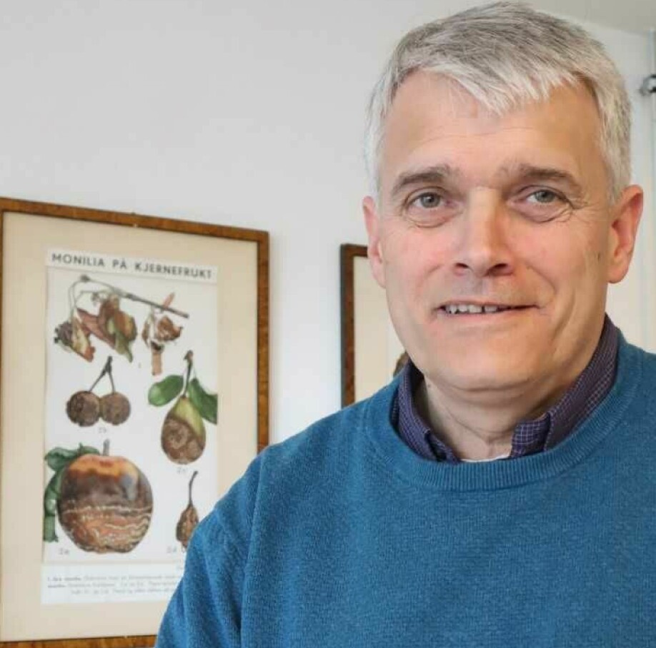 Professor Arne Stensvand ved NIBIO er ekspert på epleskurv.