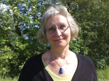 Kirsten Lauritsen er førstelektor i samfunnsfag ved Høgskolen i Nord-Trøndelag. (Foto: Bjørnar Leknes) Kirsten Lauritsen er førstelektor i samfunnsfag ved Høgskolen i Nord-Trøndelag. (Foto: Bjørnar Leknes)