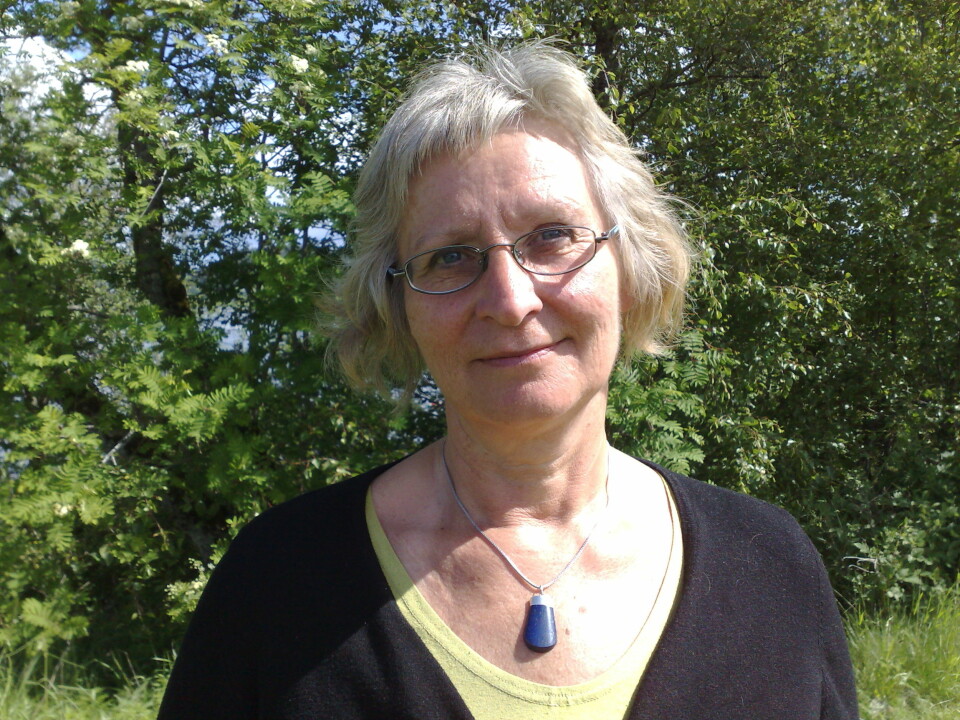 Kirsten Lauritsen er førstelektor i samfunnsfag ved Høgskolen i Nord-Trøndelag. (Foto: Bjørnar Leknes)