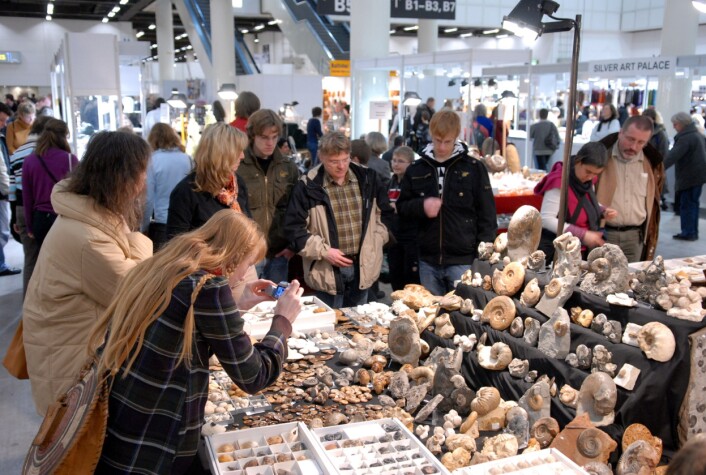 "Besøkende på Mineralien Hamburg har mulighet til å både se og kjøpe fossiler fra hele verden (Foto: Katrin Neuhauser)" "Besøkende på Mineralien Hamburg har mulighet til å både se og kjøpe fossiler fra hele verden (Foto: Katrin Neuhauser)"