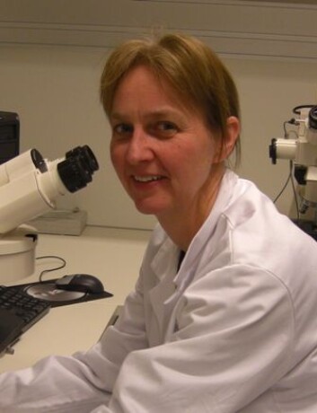 Gunhild Mari Mælandsmo ved institutt for kreftforskning på radiumhospitalet. Gunhild Mari Mælandsmo ved institutt for kreftforskning på radiumhospitalet.