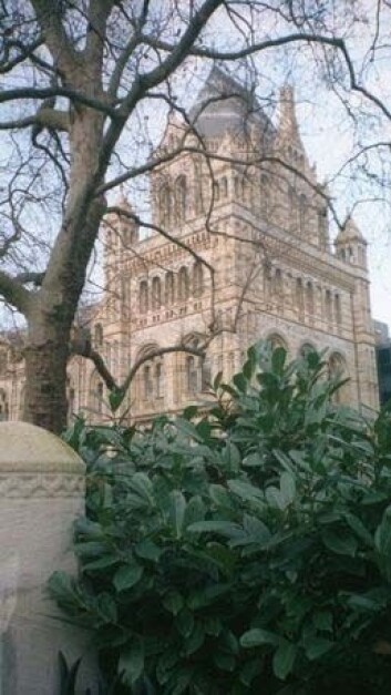 "Vitenskapsmuseet i London vurderer ekskrementkraft for fremtiden." "Vitenskapsmuseet i London vurderer ekskrementkraft for fremtiden."