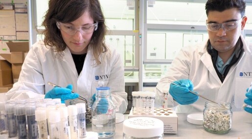 Med sterk varme fjerner forskerne gift fra kloakk og plast Med sterk varme fjerner forskerne gift fra kloakk og plast