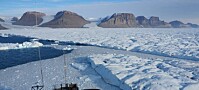 Isbreer kan miste beskyttelsen for alltid hvis istungene forsvinner