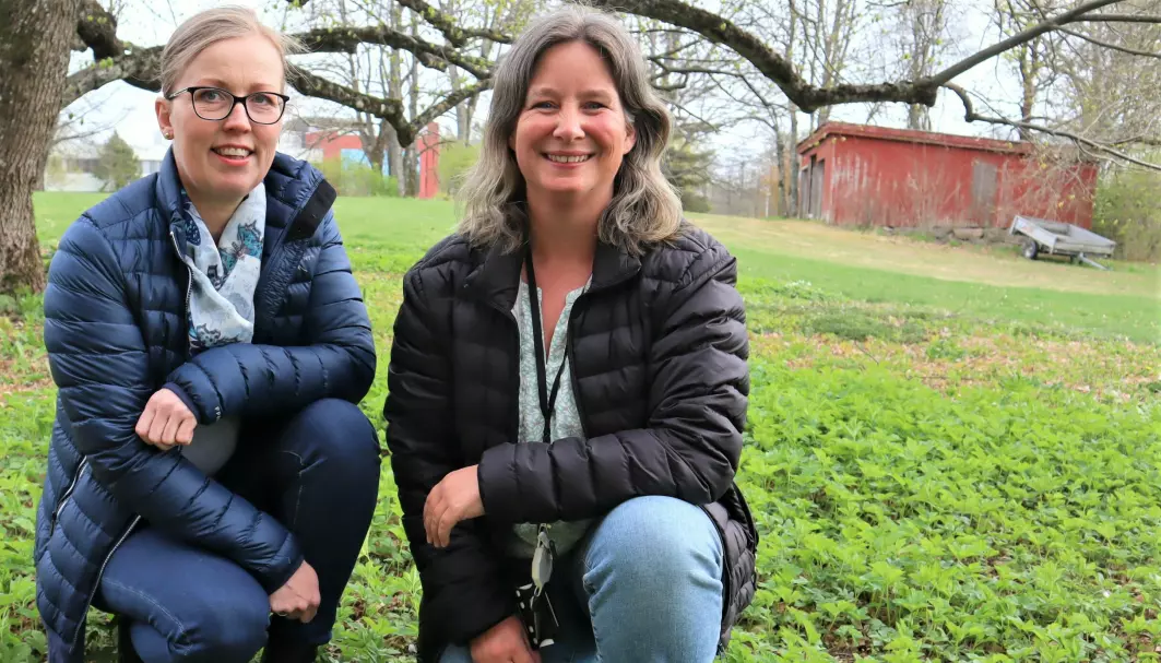 Forskerne Anette Sundbye og Annette Folkedal Schjøll ved NIBIO, Norsk Institutt for bioøkonomi, informerer om feller ved hobbydyrking av potet.